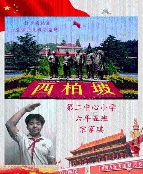 “听见”两会丨海南省政协委员李晟：深化财税改革 激发经济高质量发展活力