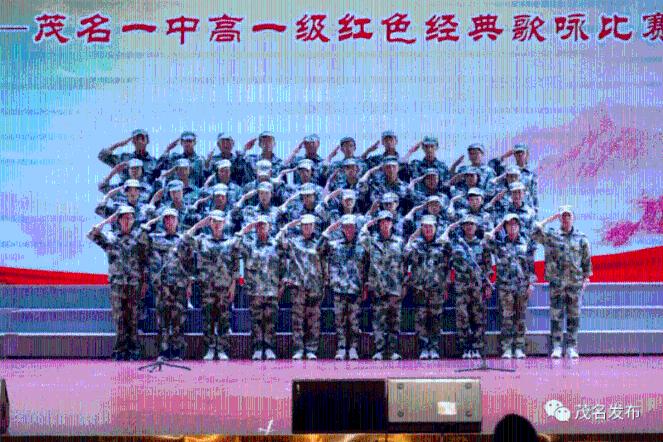 拯救精灵的土地10